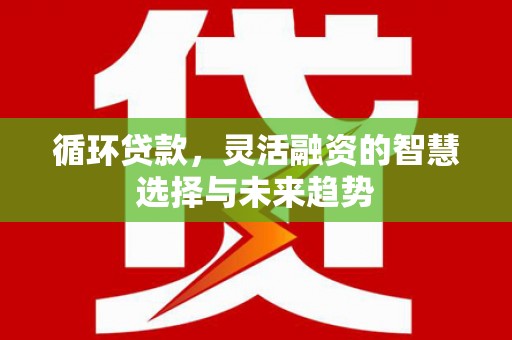 昌都循环贷款，灵活融资的智慧选择与未来趋势