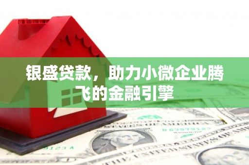 昌都银盛贷款，助力小微企业腾飞的金融引擎