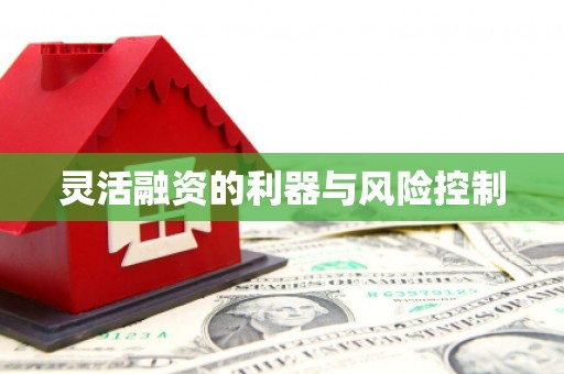 昌都灵活融资的利器与风险控制