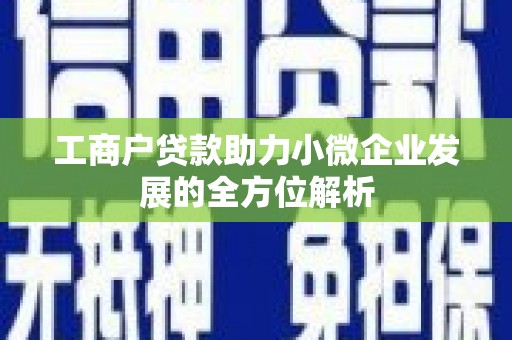 昌都工商户贷款助力小微企业发展的全方位解析