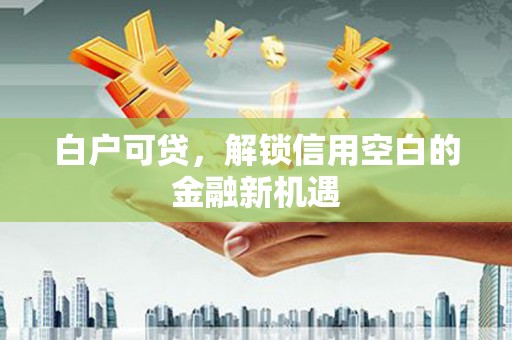 昌都白户可贷，解锁信用空白的金融新机遇