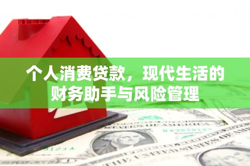 昌都个人消费贷款，现代生活的财务助手与风险管理
