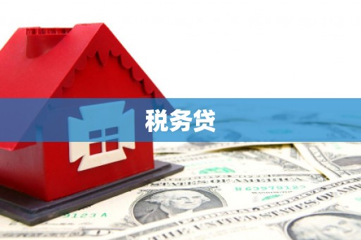 昌都税务贷