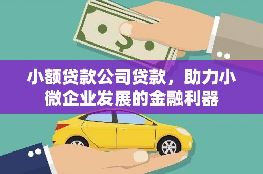 昌都小额贷款公司贷款，助力小微企业发展的金融利器