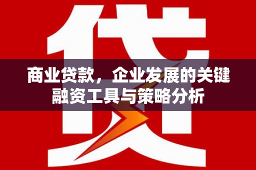 昌都商业贷款，企业发展的关键融资工具与策略分析
