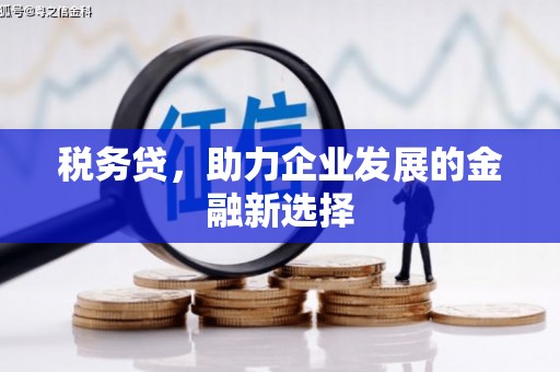 昌都税务贷，助力企业发展的金融新选择