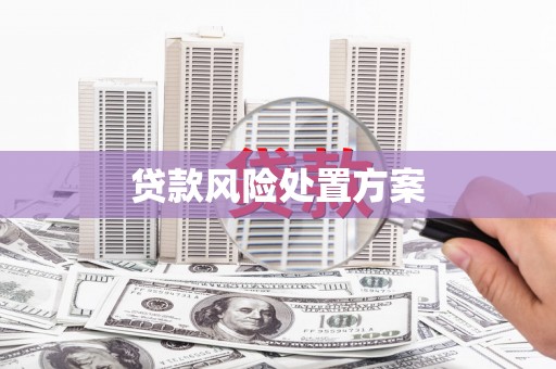 昌都贷款风险处置方案