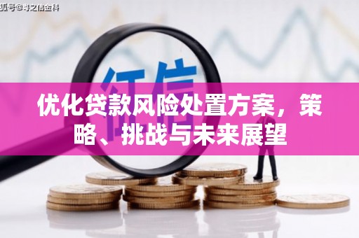 昌都优化贷款风险处置方案，策略、挑战与未来展望