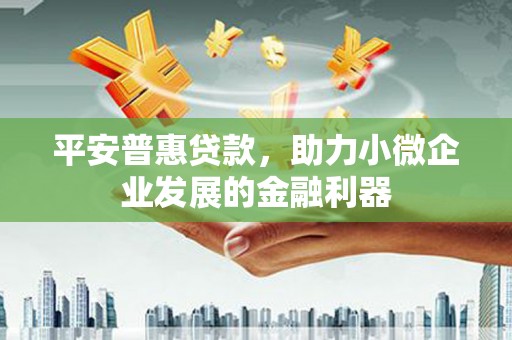 昌都平安普惠贷款，助力小微企业发展的金融利器