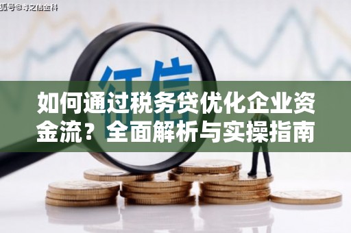 昌都如何通过税务贷优化企业资金流？全面解析与实操指南