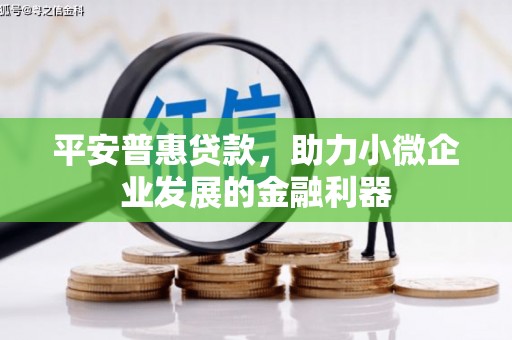 昌都平安普惠贷款，助力小微企业发展的金融利器
