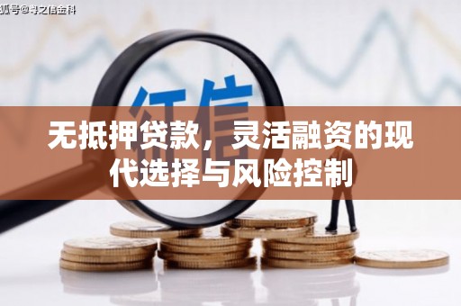 昌都无抵押贷款，灵活融资的现代选择与风险控制