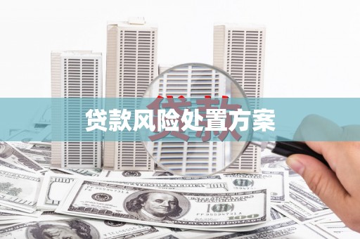 昌都贷款风险处置方案