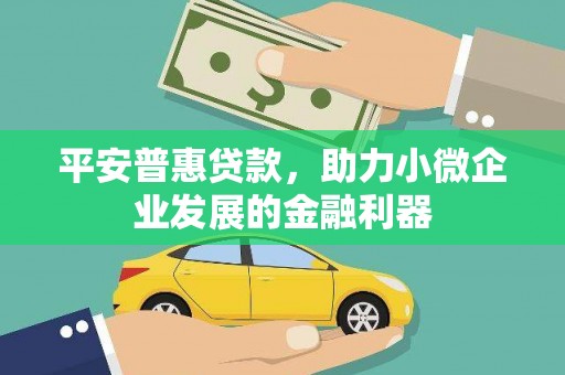 昌都平安普惠贷款，助力小微企业发展的金融利器