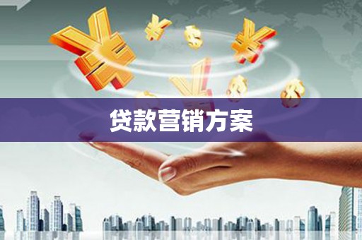 昌都贷款营销方案