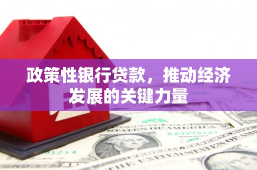 昌都政策性银行贷款，推动经济发展的关键力量