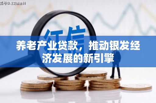 昌都养老产业贷款，推动银发经济发展的新引擎