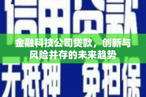 昌都金融科技公司贷款，创新与风险并存的未来趋势