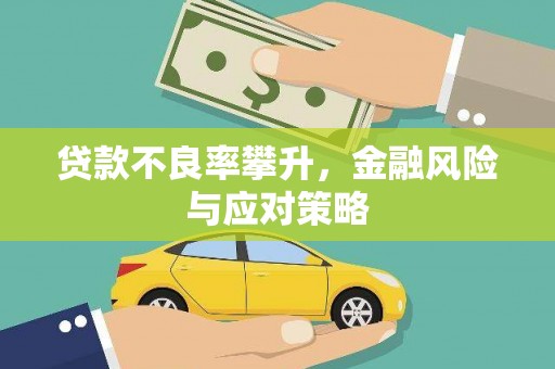 昌都贷款不良率攀升，金融风险与应对策略