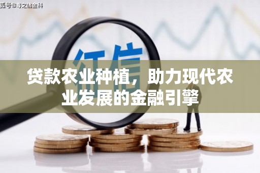 昌都贷款农业种植，助力现代农业发展的金融引擎