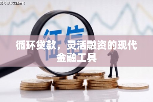 昌都循环贷款，灵活融资的现代金融工具