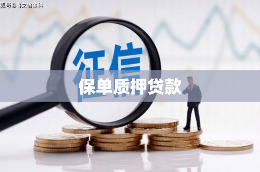 昌都保单质押贷款