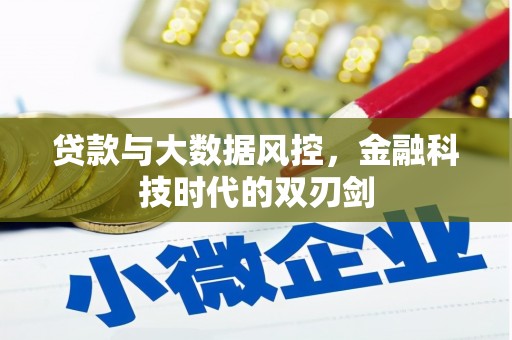昌都贷款与大数据风控，金融科技时代的双刃剑