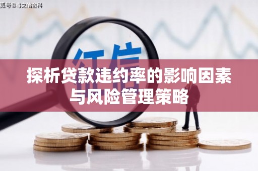 昌都探析贷款违约率的影响因素与风险管理策略