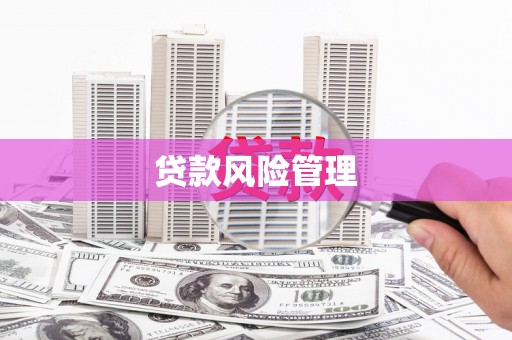 昌都贷款风险管理