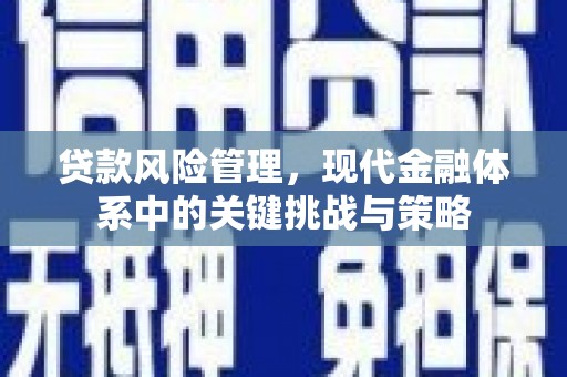 昌都贷款风险管理，现代金融体系中的关键挑战与策略