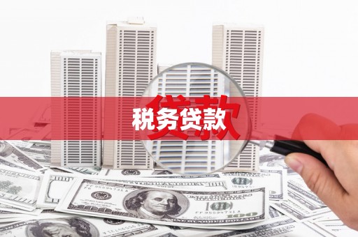 昌都税务贷款