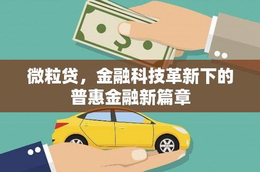昌都微粒贷，金融科技革新下的普惠金融新篇章