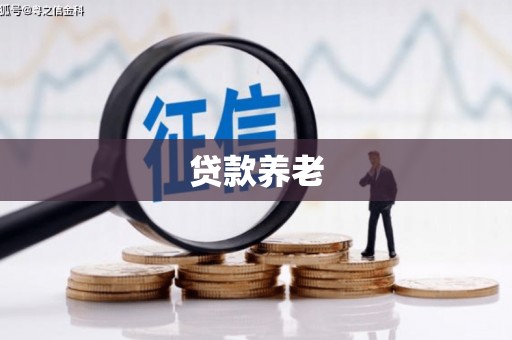 昌都贷款养老