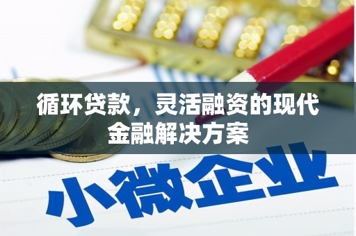 昌都循环贷款，灵活融资的现代金融解决方案