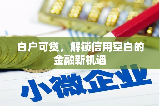 昌都白户可贷，解锁信用空白的金融新机遇
