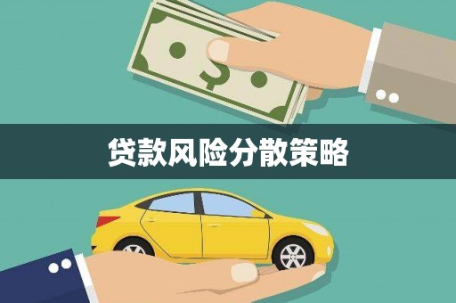 昌都贷款风险分散策略