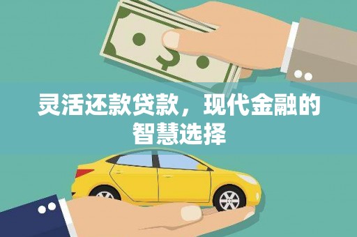 昌都灵活还款贷款，现代金融的智慧选择