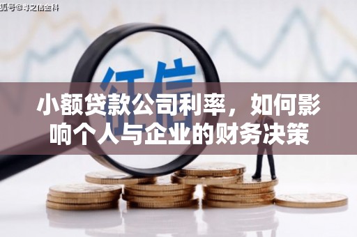 昌都小额贷款公司利率，如何影响个人与企业的财务决策