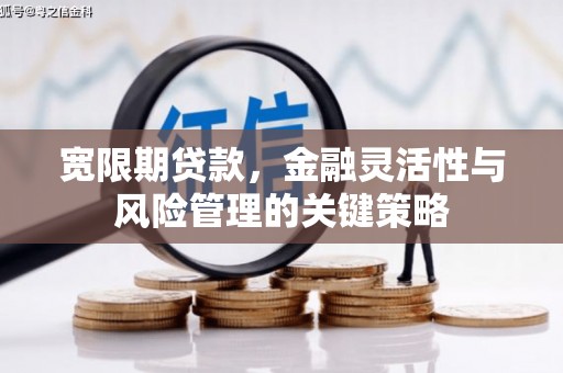 昌都宽限期贷款，金融灵活性与风险管理的关键策略