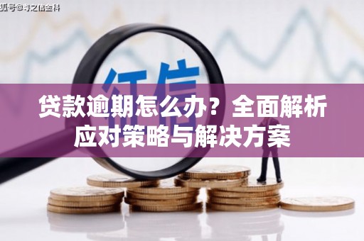 昌都贷款逾期怎么办？全面解析应对策略与解决方案