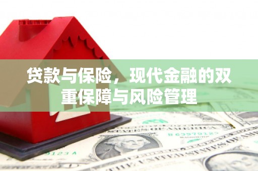 昌都贷款与保险，现代金融的双重保障与风险管理