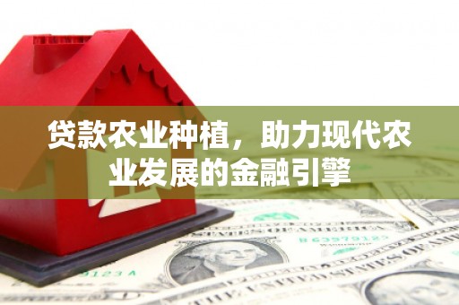 昌都贷款农业种植，助力现代农业发展的金融引擎