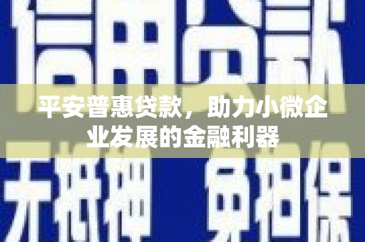 昌都平安普惠贷款，助力小微企业发展的金融利器