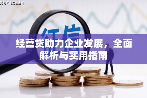 昌都经营贷助力企业发展，全面解析与实用指南