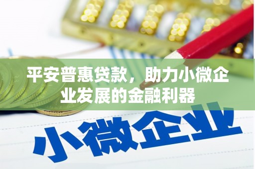 昌都平安普惠贷款，助力小微企业发展的金融利器