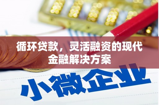 昌都循环贷款，灵活融资的现代金融解决方案