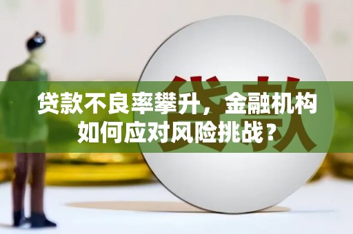 昌都贷款不良率攀升，金融机构如何应对风险挑战？
