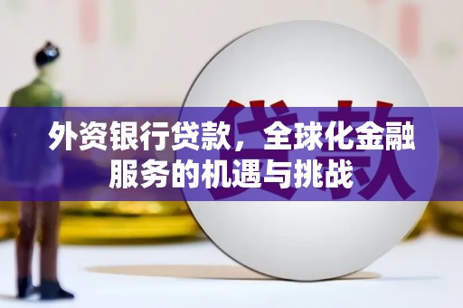 昌都外资银行贷款，全球化金融服务的机遇与挑战