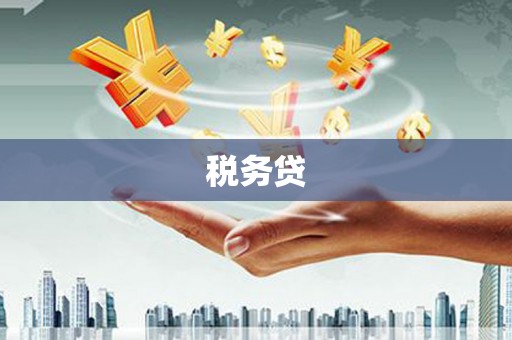 昌都税务贷