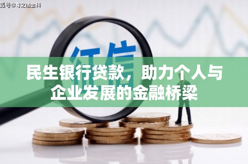 昌都民生银行贷款，助力个人与企业发展的金融桥梁
